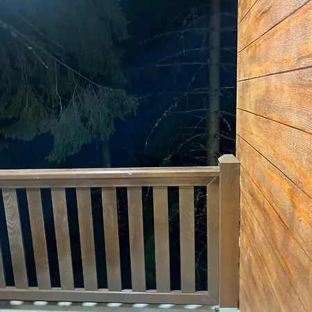 Ruza Vetrova A1- Duplex * Nova Varoš