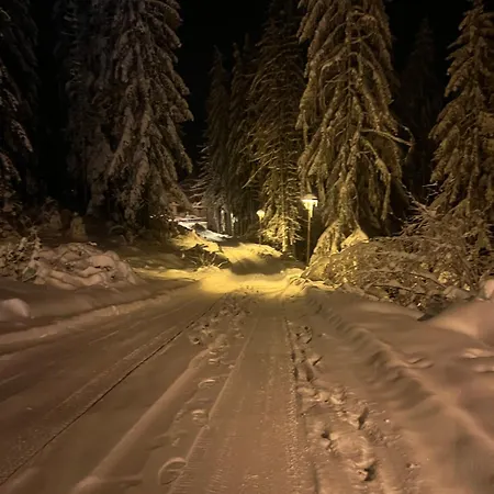 Ruza Vetrova A1- Duplex דירה