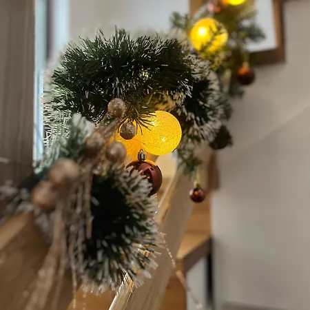 Ruza Vetrova A1- Duplex *